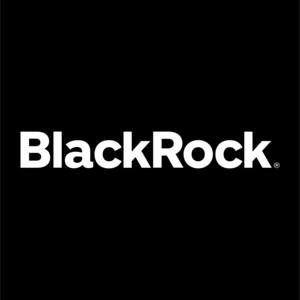 Company Black Rock image