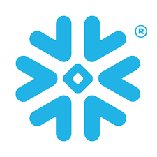 Company Snowflake image