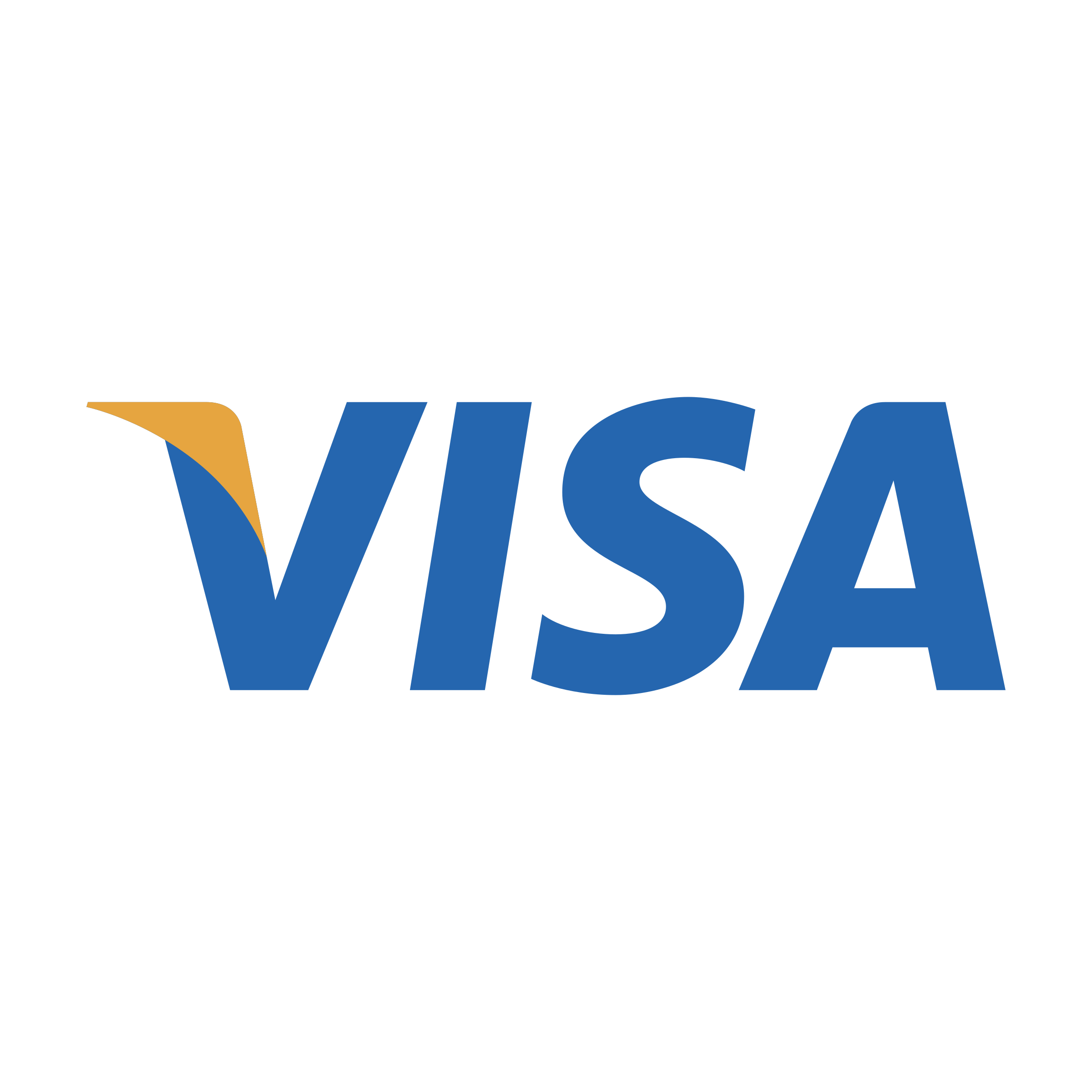 Company Visa image